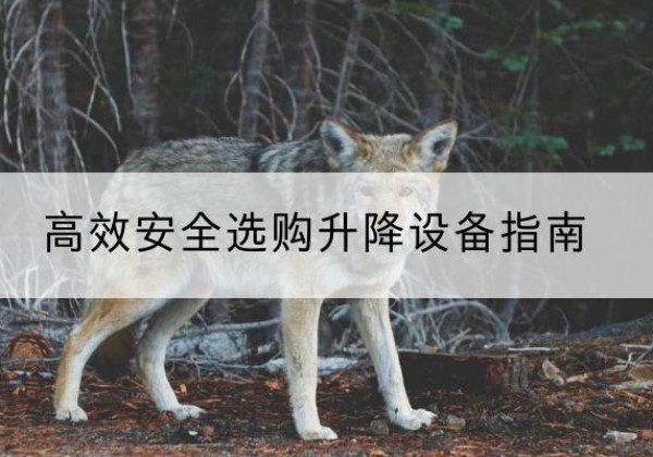 泽州升降货梯厂家推荐-*安全选购升降设备指南