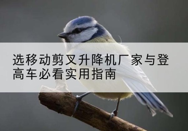 泽州电动升降机厂家-选移动剪叉升降机厂家与登高车必看实用指南