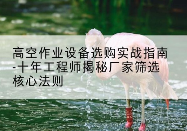 泽州剪叉式升降机厂家-高空作业设备选购实战指南-十年工程师揭秘厂家筛选核心法则
